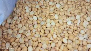 Daal chana ka rate#ghee #foodindustry #foryou #foodproduction