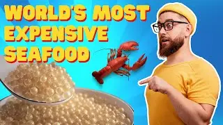 Discover the Luxurious Taste of Rare Seafood