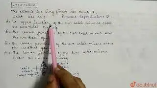 The clitoris is a tiny finger-like structure, which lies at:  | CLASS 12 | NTA NEET SET 28 | BIO...