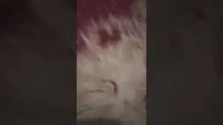 ١ فبراير ٢٠٢٦