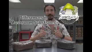 Explanation of Different Substrate for Mushroom Growing by Booming Acres