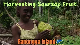 HARVESTING SOURSOP FRUIT WITH MY NIECE | Backyard Harvest | 2025 FESTIVE SEASON 🍏🌳🇸🇧