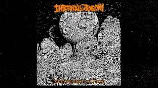 INTERNAL DECAY - Malformation of Flesh, 2024