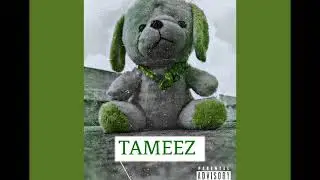 AkxH-Tameez (prod.by Depo)