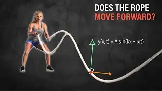 Transverse Waves: How does a wave move if the string stays in place?