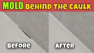 How to Re-Caulk a Shower (Fix Mold & Leaks for Good!)