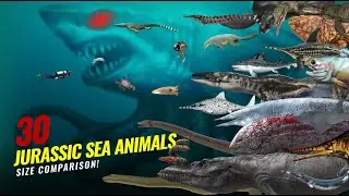30 Jurassic Sea Monsters Size Comparison That You're Glad Are Extinct