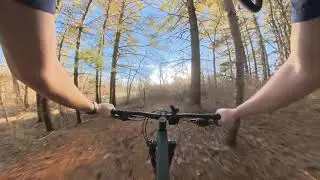 Quick Fast Tree Ride in the woods with my 2024 Roscoe 6