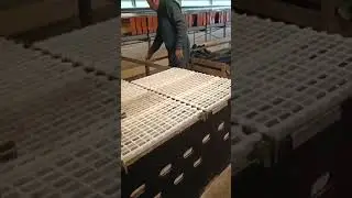 remontage des caillebotis dans un élevage poules pondeuses plein air