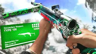 this is why you need to use the Type 100 in Warzone