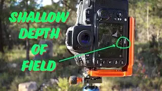 Shallow Depth Of Field Landscape Photography