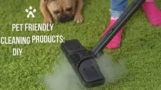 Pet Friendly Cleaning Products: DIY Pet Safe Cleaning