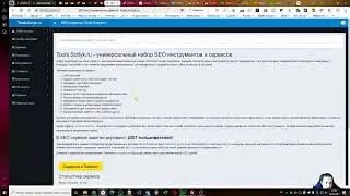SEO сервисы Tools.Soltyk.ru &mdash; обзор SEO инструментов для специалистов - Soltyk.ru