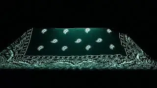 Hamza - Gang (Visualizer)