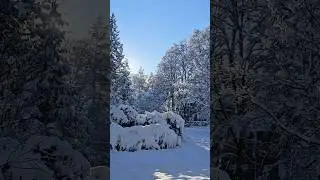 Christmas Snow ❄️ 😍 #trending#top#snow#winter#germany#lokah#edit#capcut#kerala#india#army#japan#love