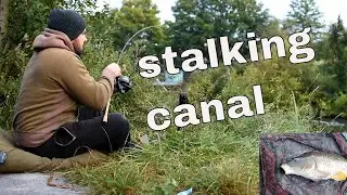 stalking carpe en canal ( touche & combat en live! )