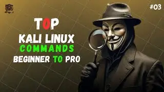 Kali Linux Basics 2025 | Top Commands for Beginners