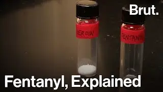 How Fentanyl is Fueling America's Deadliest Opioid Crisis