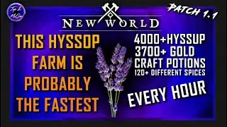New world Hyssop farm *4000+ / HOUR* (HOW TO MAKE GOLD AND POTIONS)