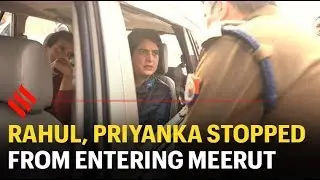 Rahul Gandhi, Priyanka Gandhi stopped from entering Meerut