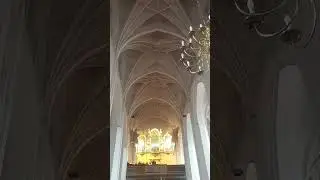 #oberkirche #cottbus #shorts #musik zur Sterbestunde(4)
