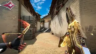 Riot Gun Buddy Changed My Aim Forever