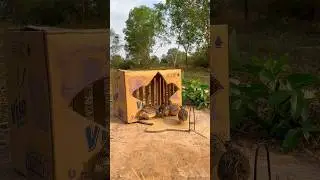 Best Amazing Bird Trap Technology #shorts
