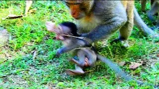 Poor Timo! OMG! Marcus fight baby timo cos look so naughty why, Baby feel very nervous cos scaring