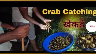 Catching Crab upto 15 kg At Night With Torch 🦀😮| रात्रीचे 15 किलो खेकडे पकडले|#crabcleaning #crabs 