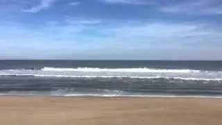 A gorgeous beach day in January