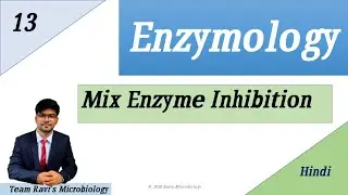 Mix Enzyme Inhibition Hindi / Enzyme Inhibition Hindi