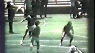 1975 World Frisbee Championships: Ultimate