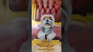 Йоркширский терьер поэтапно ❗Полный МК по ссылке в комментариях❗ Acrylic idea painting🤍