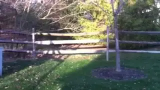 Cody Braden hitting baseball