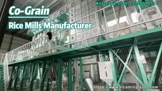 Maximize Your Rice Production with Our 60T/D Rice Milling Plant &ndash; High-Quality Machines for Sale!
