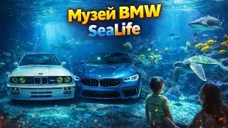Музей BMW и Sea Life в Мюнхене 🏎️🌊 | Крутое место для всей семьи | Куда занесло