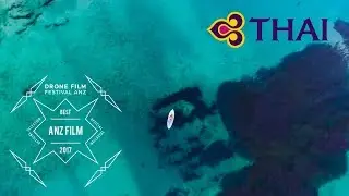 Flying With Nature by Sarah Coote -  Best ANZ Film - Drone Film Festival ANZ x SanDisk