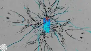 DM Theory & PsyTechProject - Get Involved (Acid Mix) (Visuals)