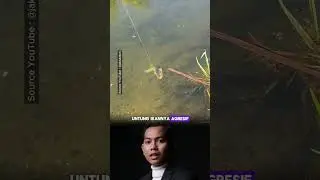 the fish is right on the edge #short #shorts #shortvideo #fishing