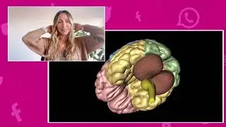 PILAS CON EL V&Eacute;RTIGO Y SUS MANIFESTACIONES. ALEXANDRA FORERO EN @Trendiando #fisioterapia