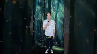 The terrible truth about fireflies #comedy #music #parody of #fireflies by #owlcity