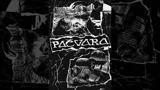 Pačvara - 10-track album (D-beat Raw Punk Belarus)