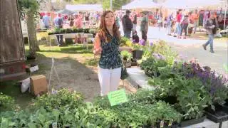 Discover Wisconsin Green Lake Country - Segment 1