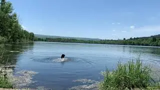 В ЧИСТОМ ОЗЕРЕ #озёро💦🌞🧿