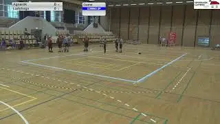 Skull Bugs Vs Agnarök