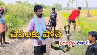 చేపలకి వెళ్తే మేము ఇలా జరిగిది అనుకోలేదు😱 | Village Life Vlog | Telugu Vlogs | Mavija Vlog
