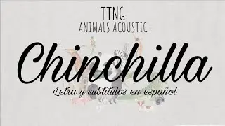 Chinchilla (acustic)  - This Town Needs Guns (TTNG) Lyrics + sub espa&ntilde;ol