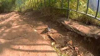 Rollei Action Cam 430 4K shot of a bird