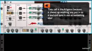 Reason 7 205: Alligator - 1. Introduction