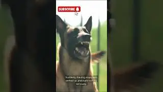 Animal signal warning to human #conservation #wildliferescue #animallover